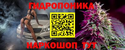 прущие грибы Среднеуральск