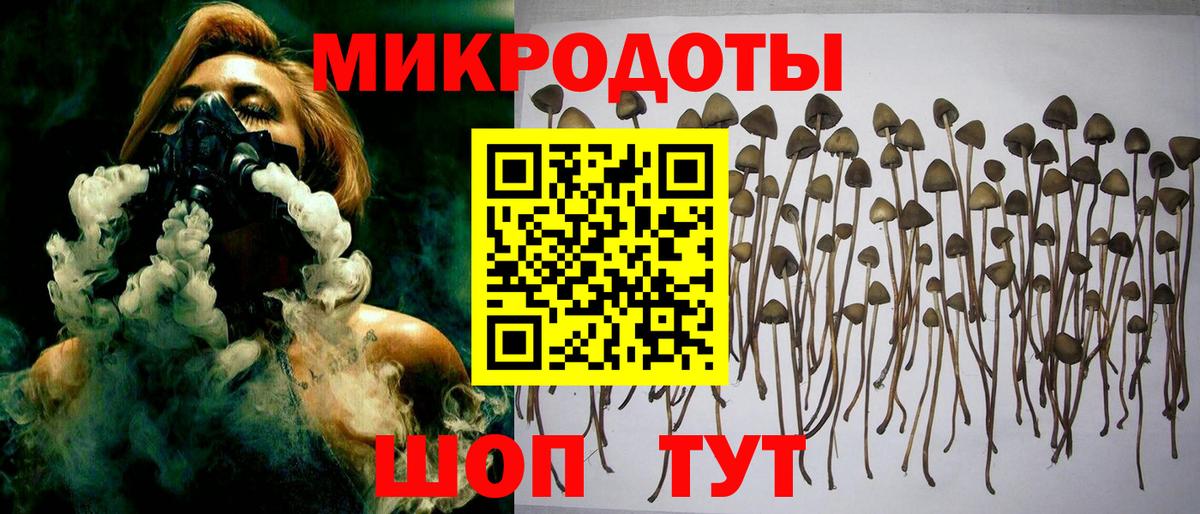 Псилоцибиновые грибы прущие грибы  Вход с VPN  Медногорск  Псилоцибиновые грибы GOLDEN TEACHER 